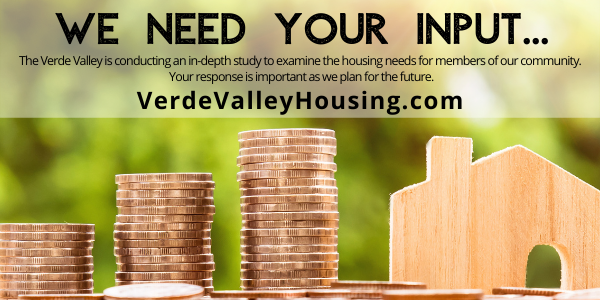 VV Housing Survey Promo